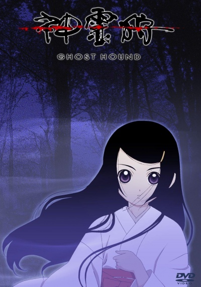 В погоне за призраком