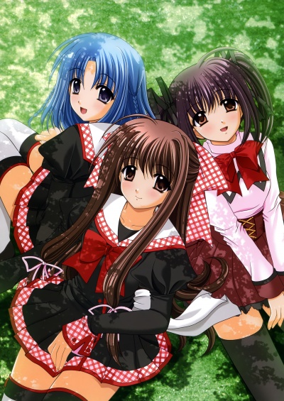 Последняя попытка