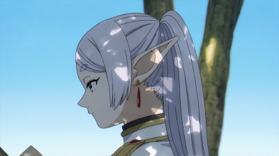 Фрирен, провожающая в последний путь